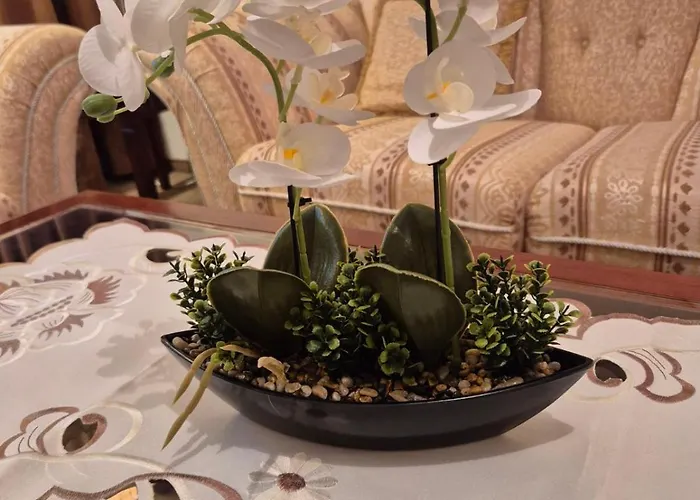 Mountain Heaven Downtown *