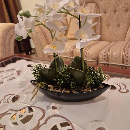 Mountain Heaven Downtown *